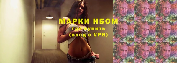 сатива Белоозёрский