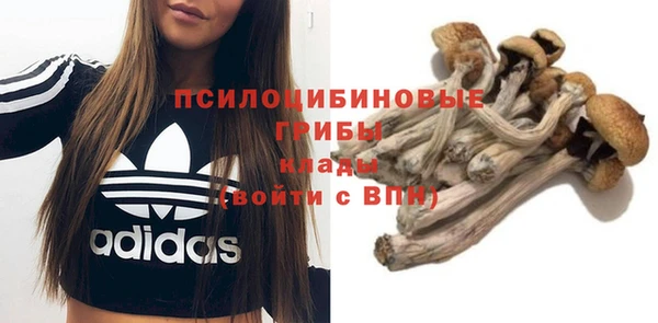 сатива Белоозёрский