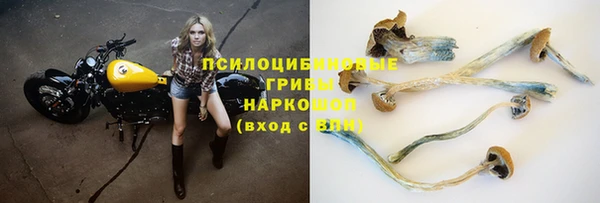 сатива Белоозёрский