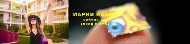 сатива Белоозёрский