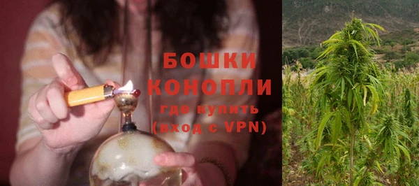 сатива Белоозёрский