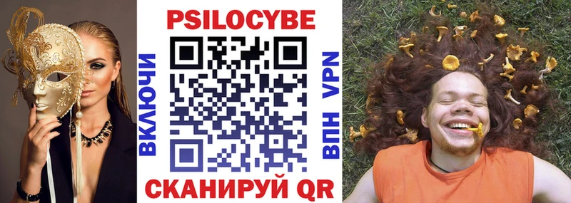 сколько стоит  Кстово  Псилоцибиновые грибы Psilocybe 